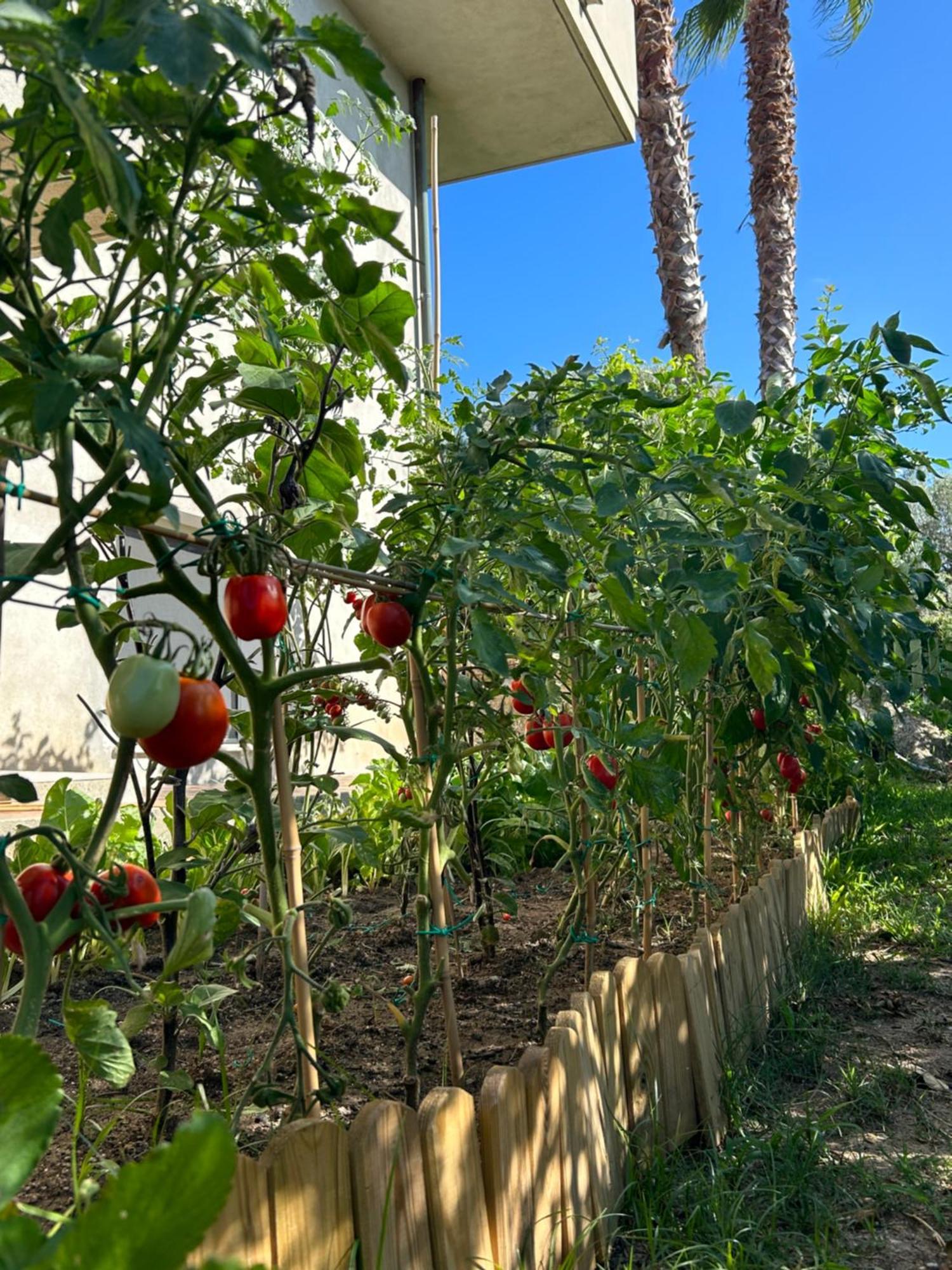 Alto Giardino Apartman Zambrone Kültér fotó