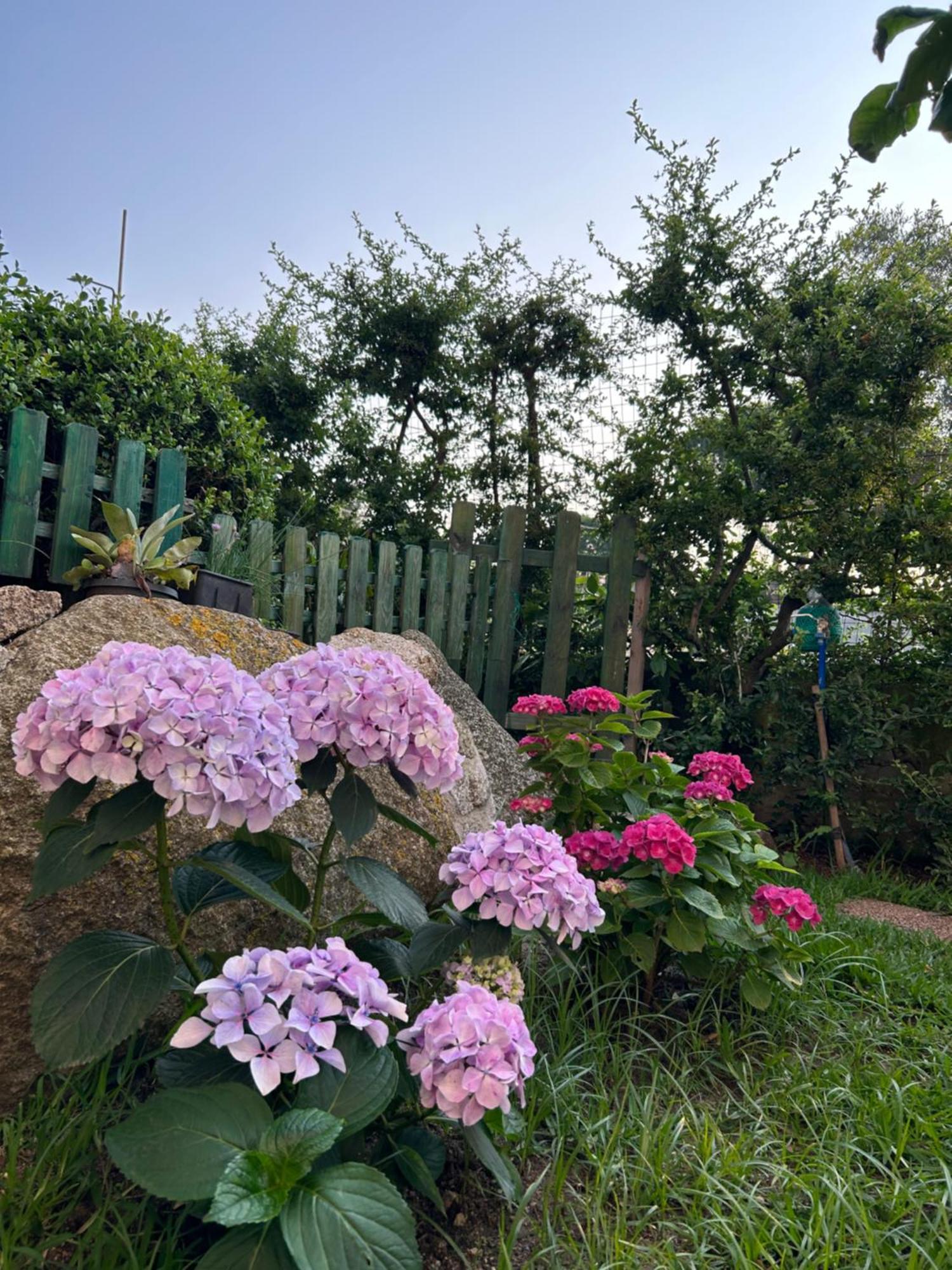 Alto Giardino Apartman Zambrone Kültér fotó