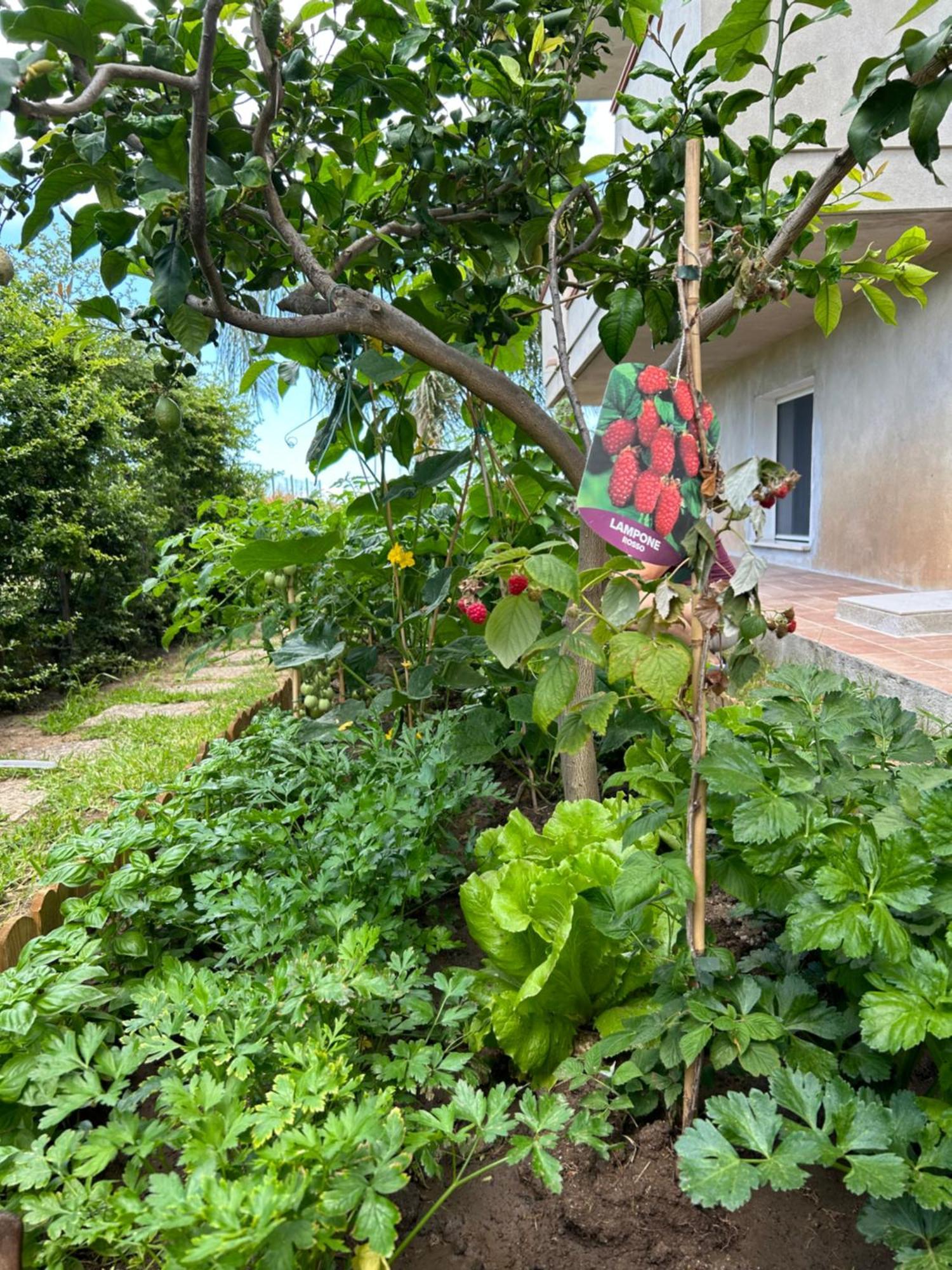Alto Giardino Apartman Zambrone Kültér fotó