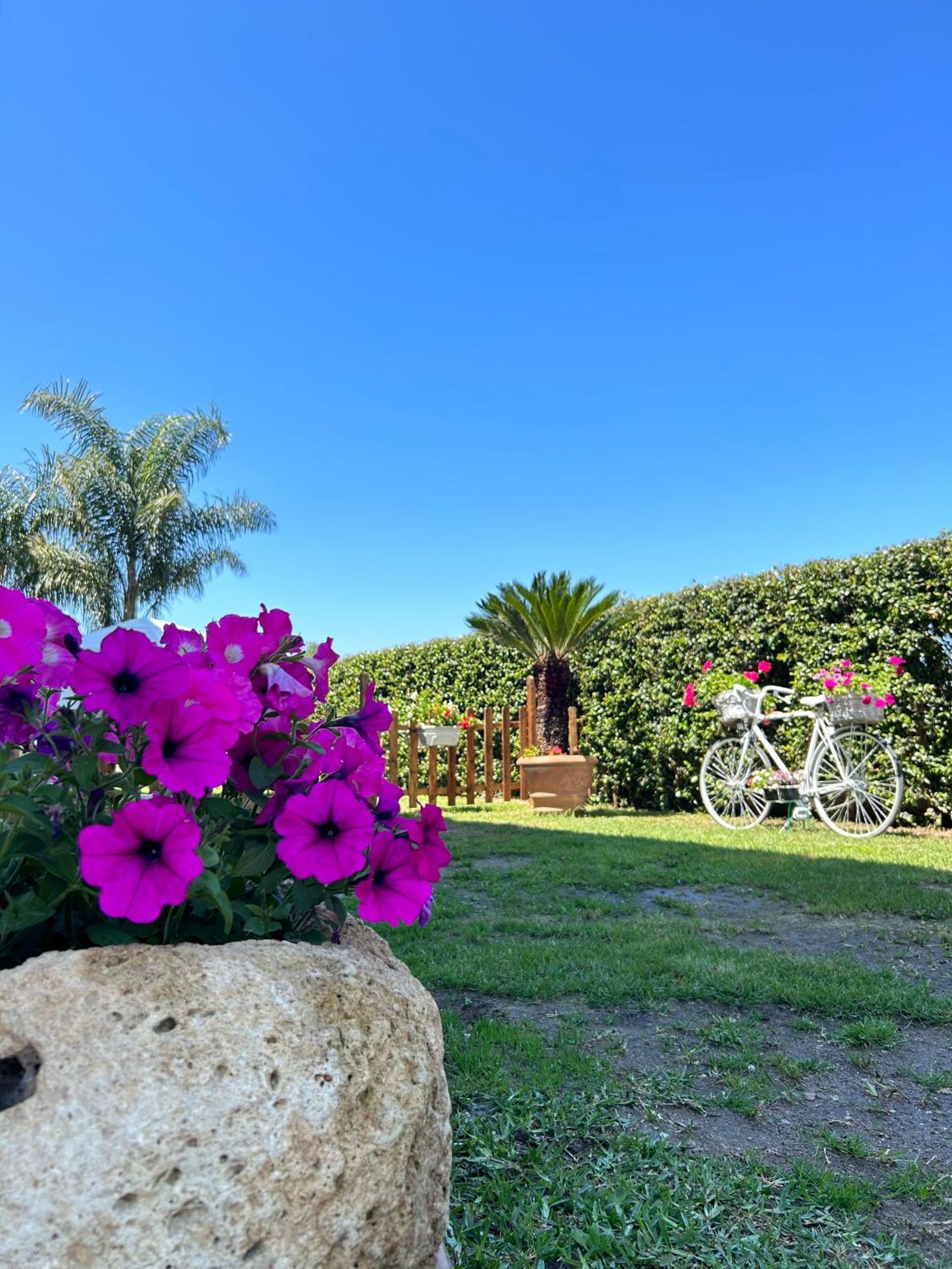 Alto Giardino Apartman Zambrone Kültér fotó