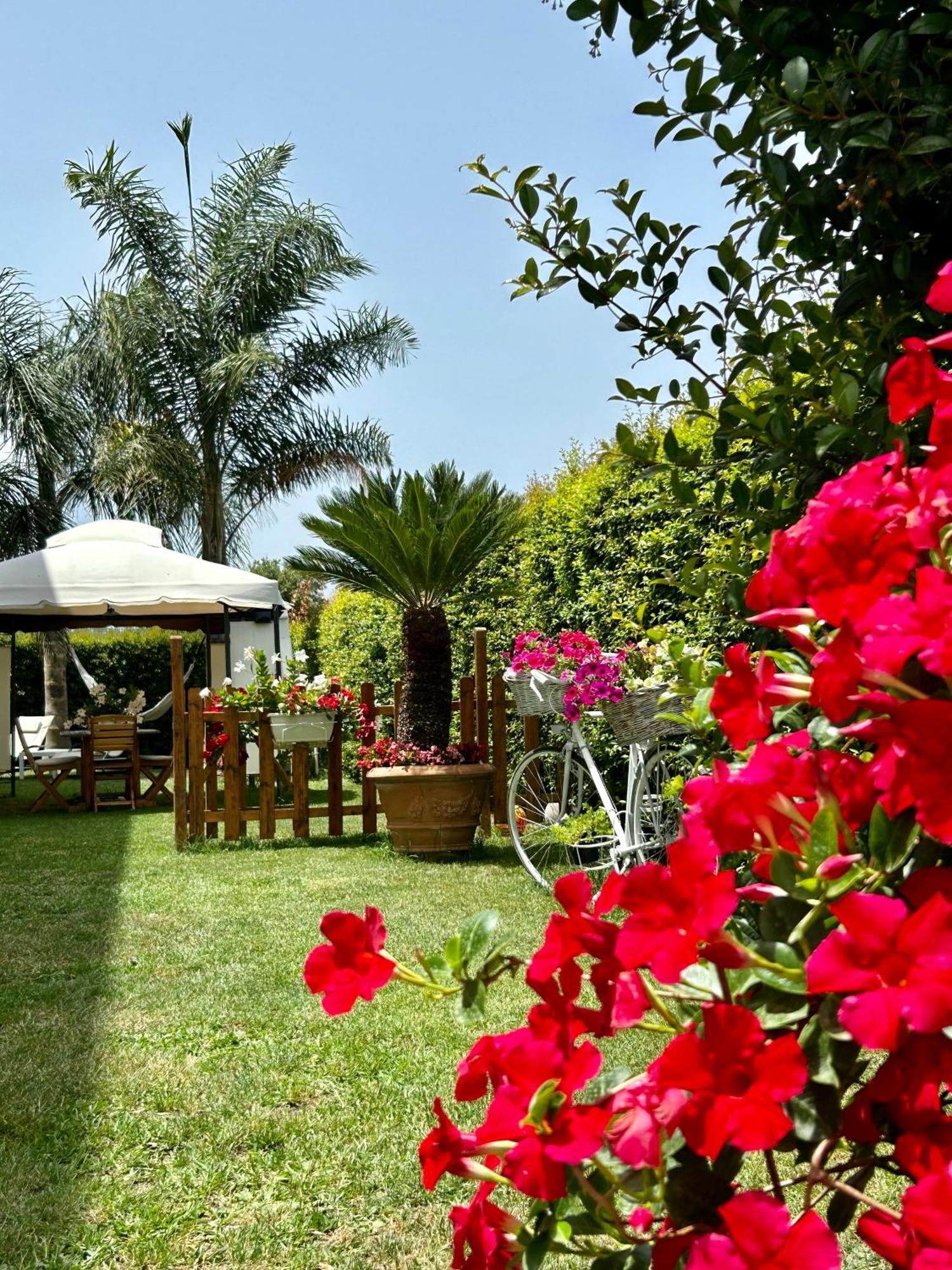 Alto Giardino Apartman Zambrone Kültér fotó